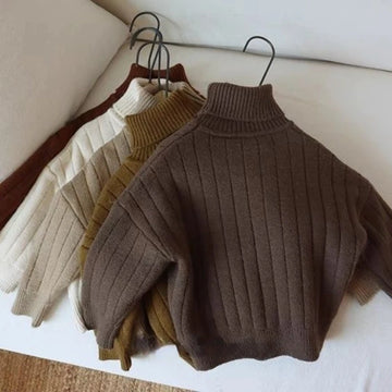 Chunky Turtleneck Rib Sweater