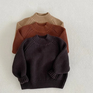 Thick Autumn Solid Turtleneck Sweater